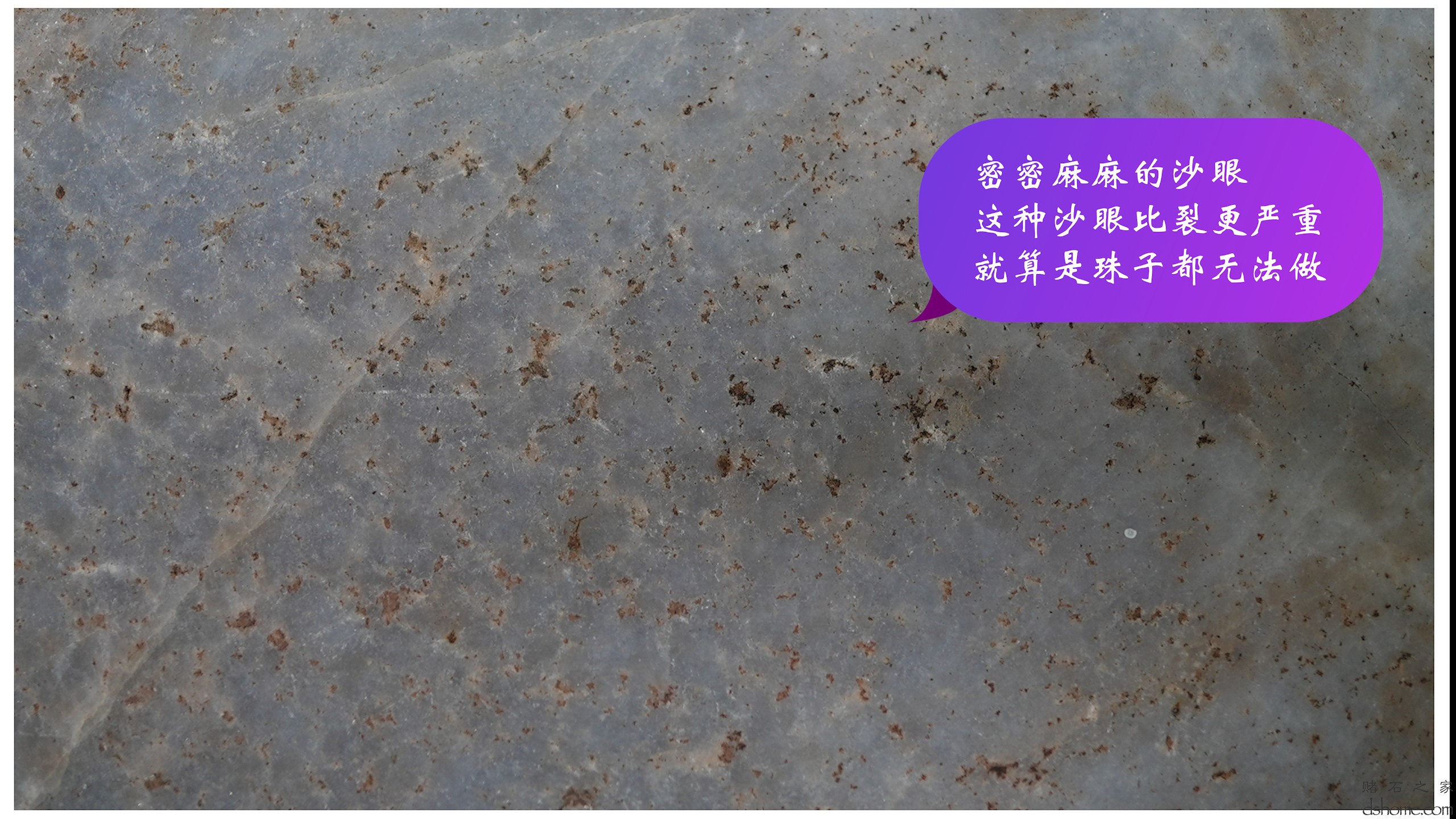 序列 04.00_00_22_36.Still006.jpg