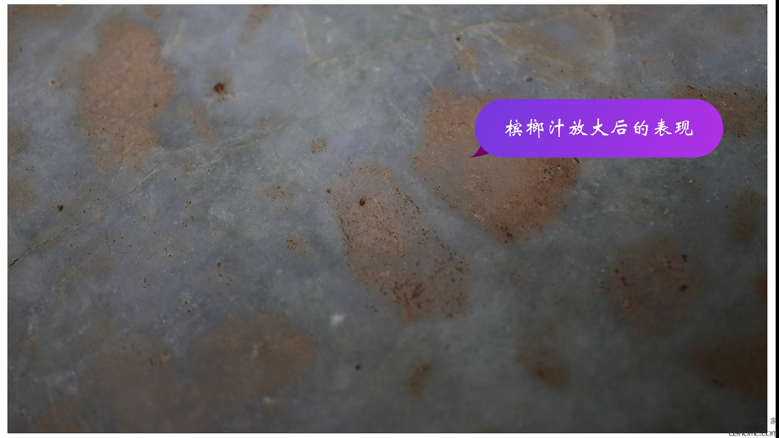 序列 04.00_00_31_53.Still009.jpg