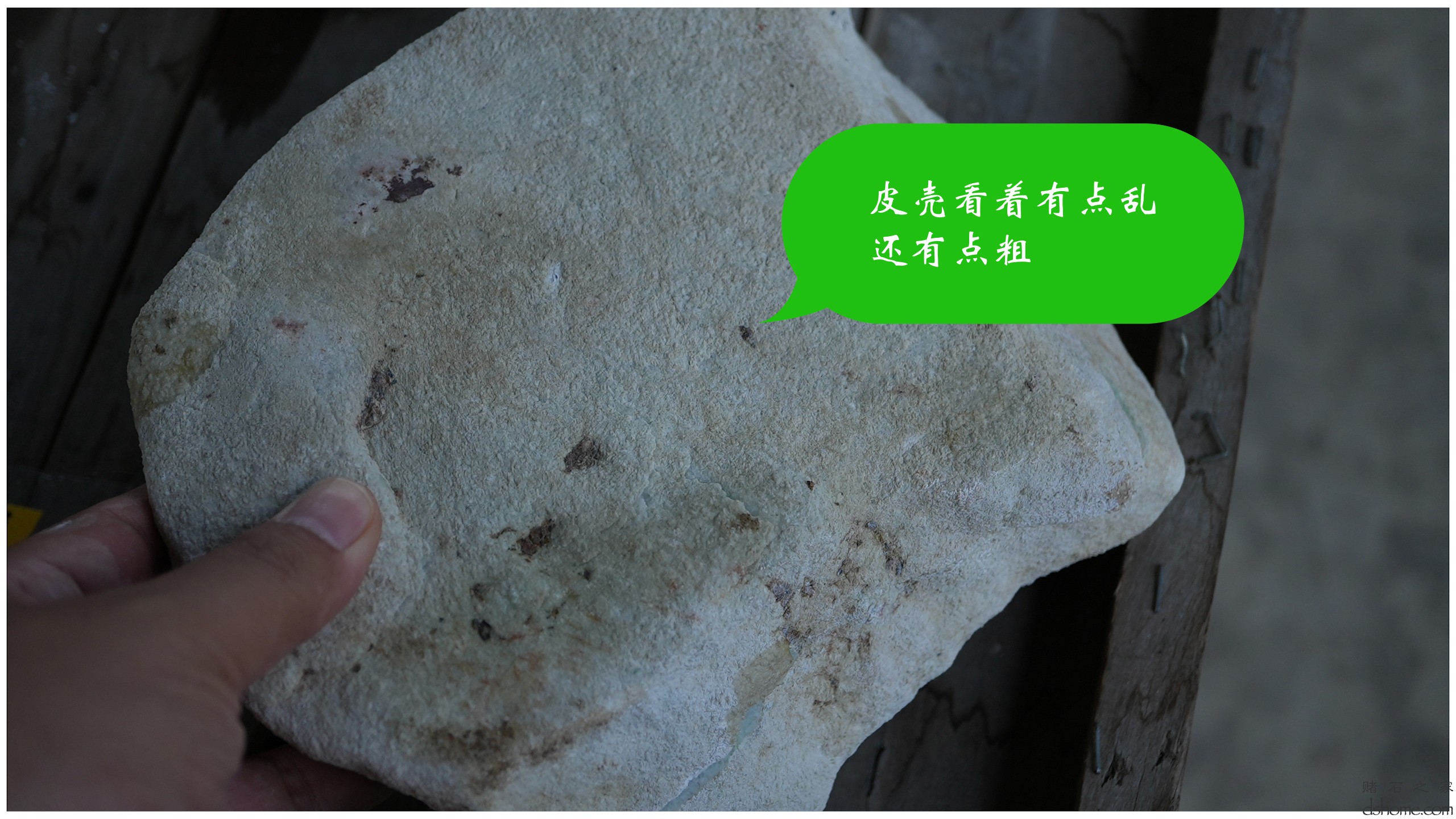 序列 07.00_00_09_22.Still002.jpg