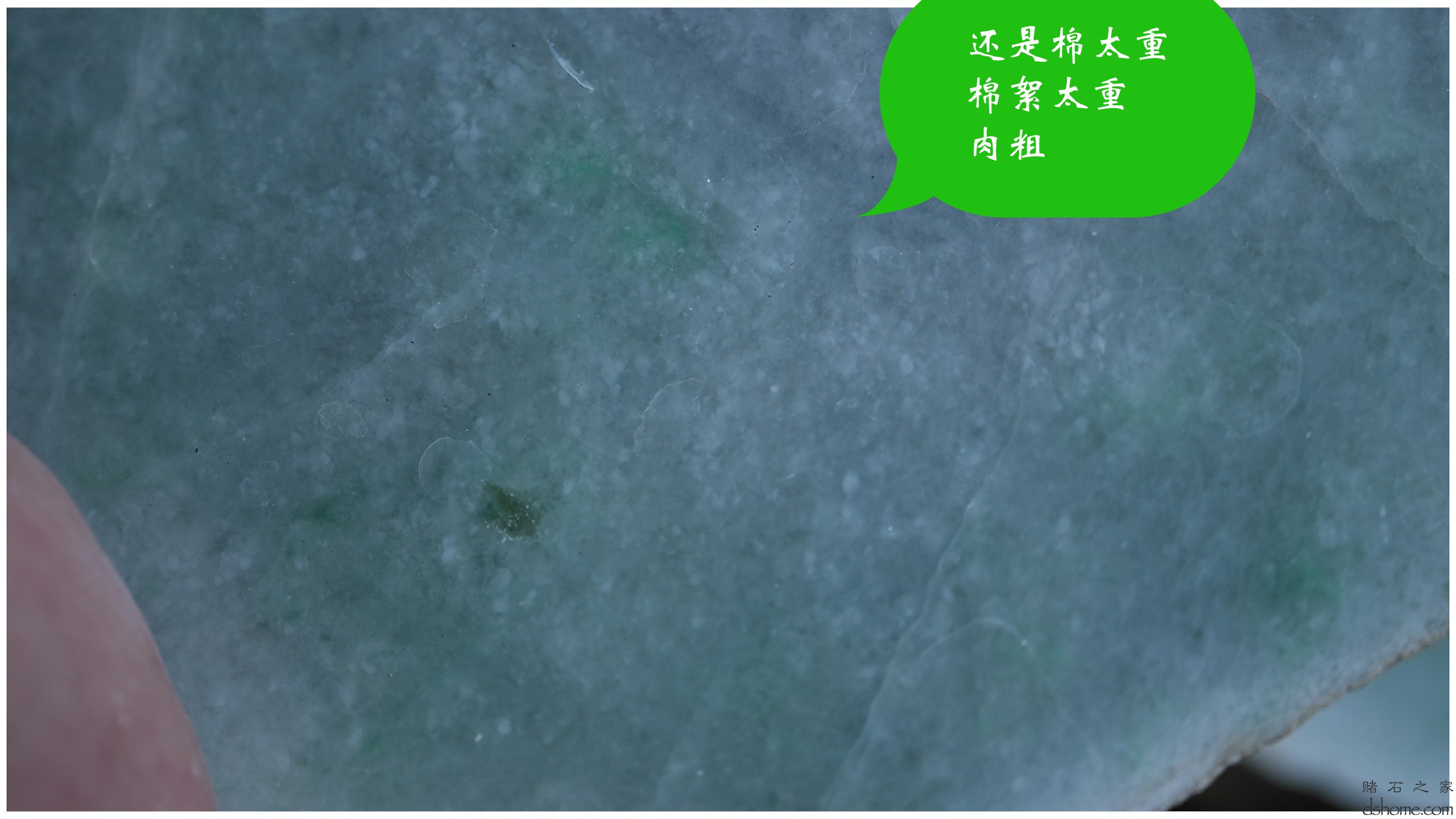 序列 07.00_00_29_17.Still007.jpg