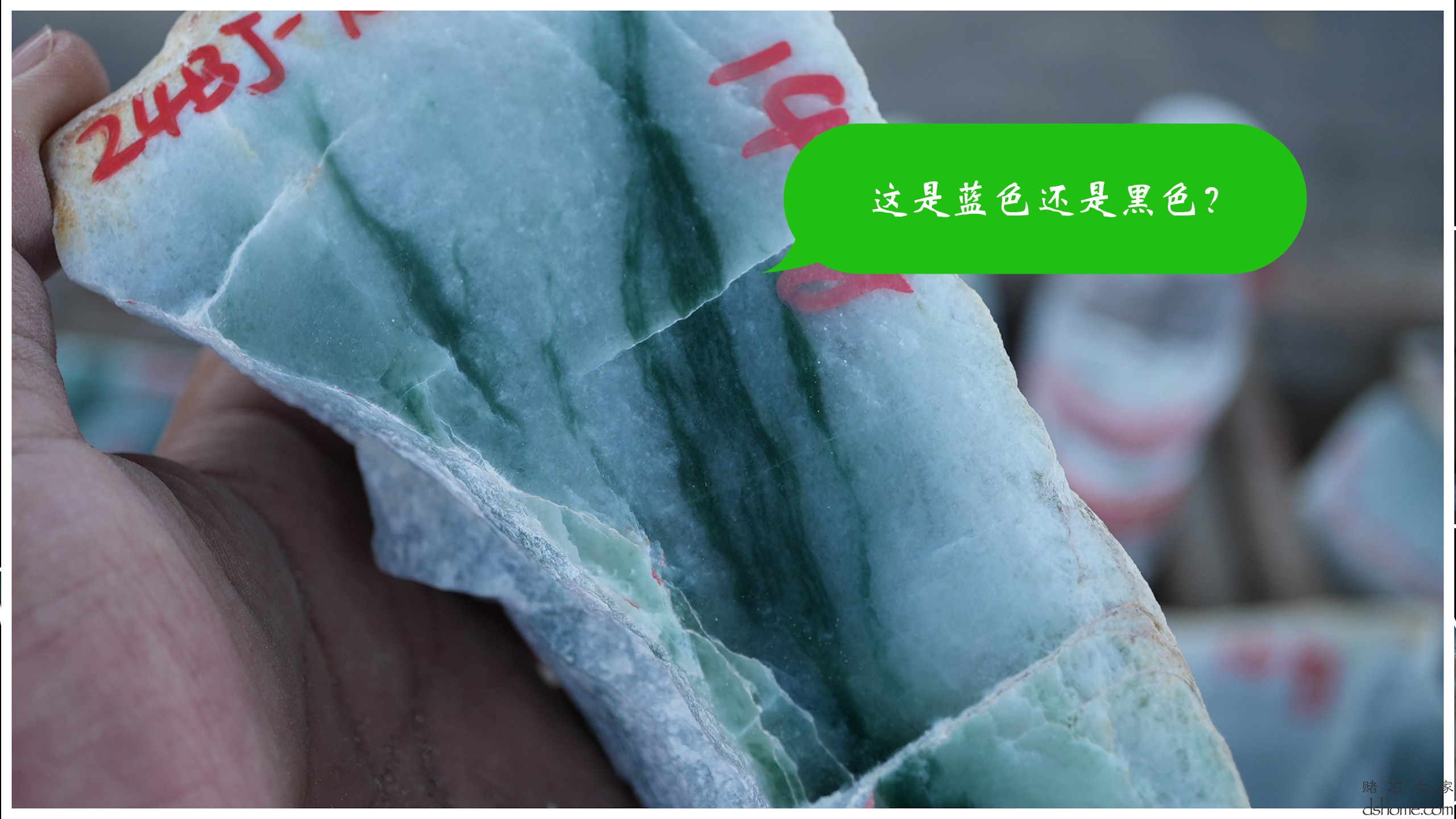 序列 09.00_00_10_48.Still002.jpg