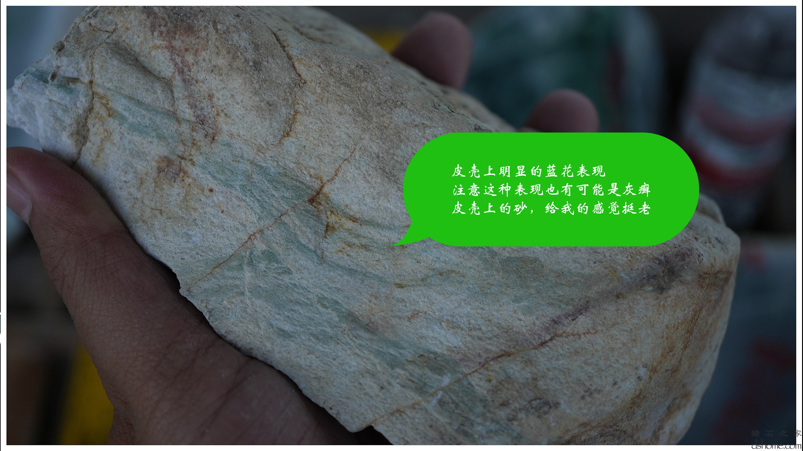 序列 09.00_00_53_57.Still013.jpg