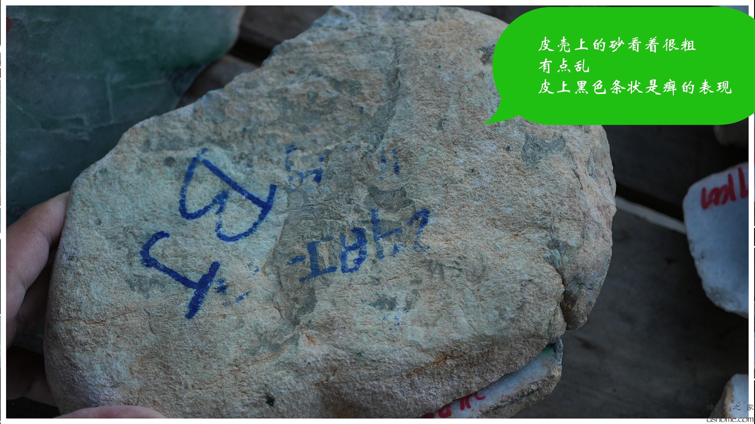 序列 10.00_00_19_56.Still004.jpg