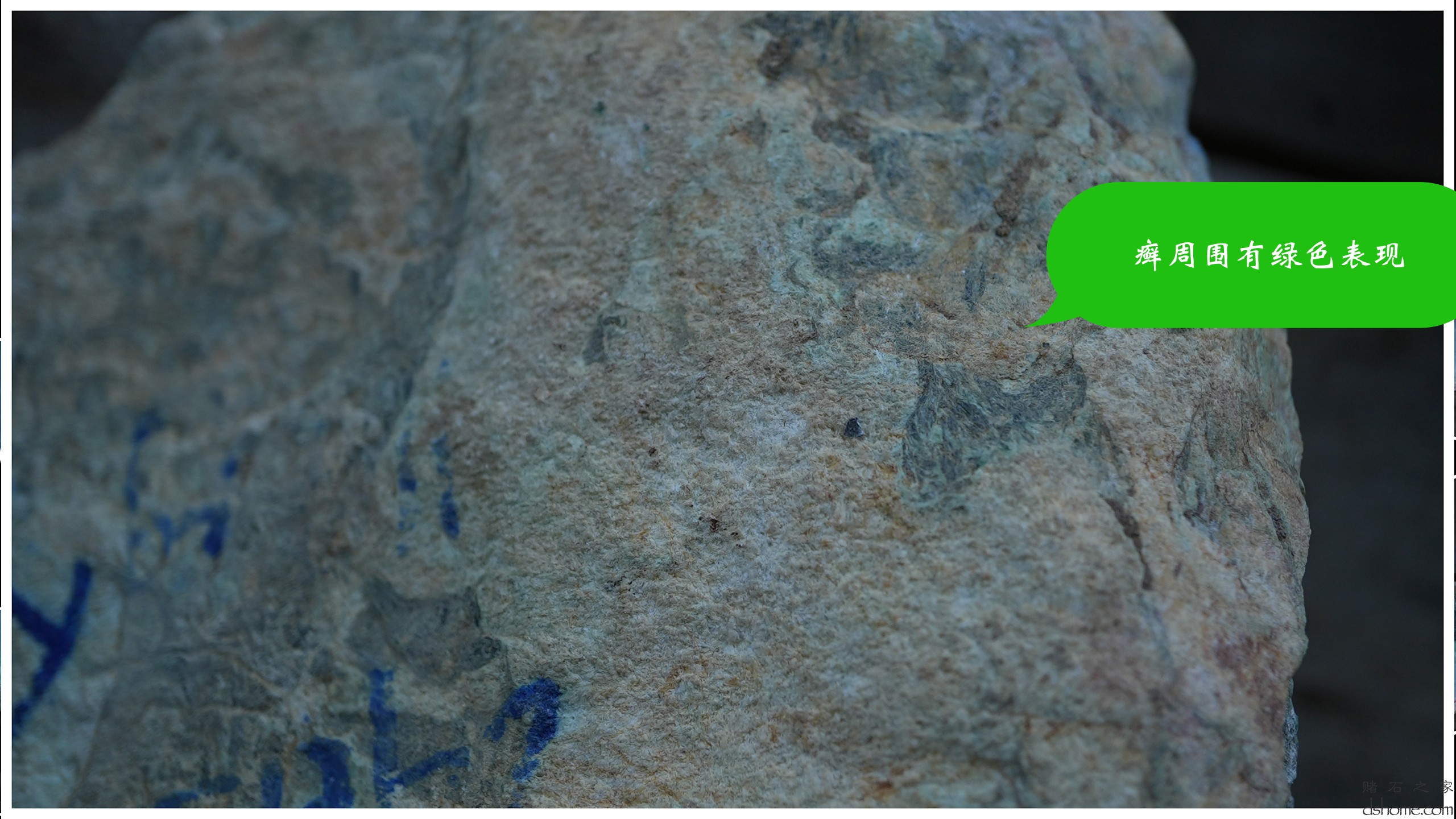 序列 10.00_00_35_22.Still008.jpg