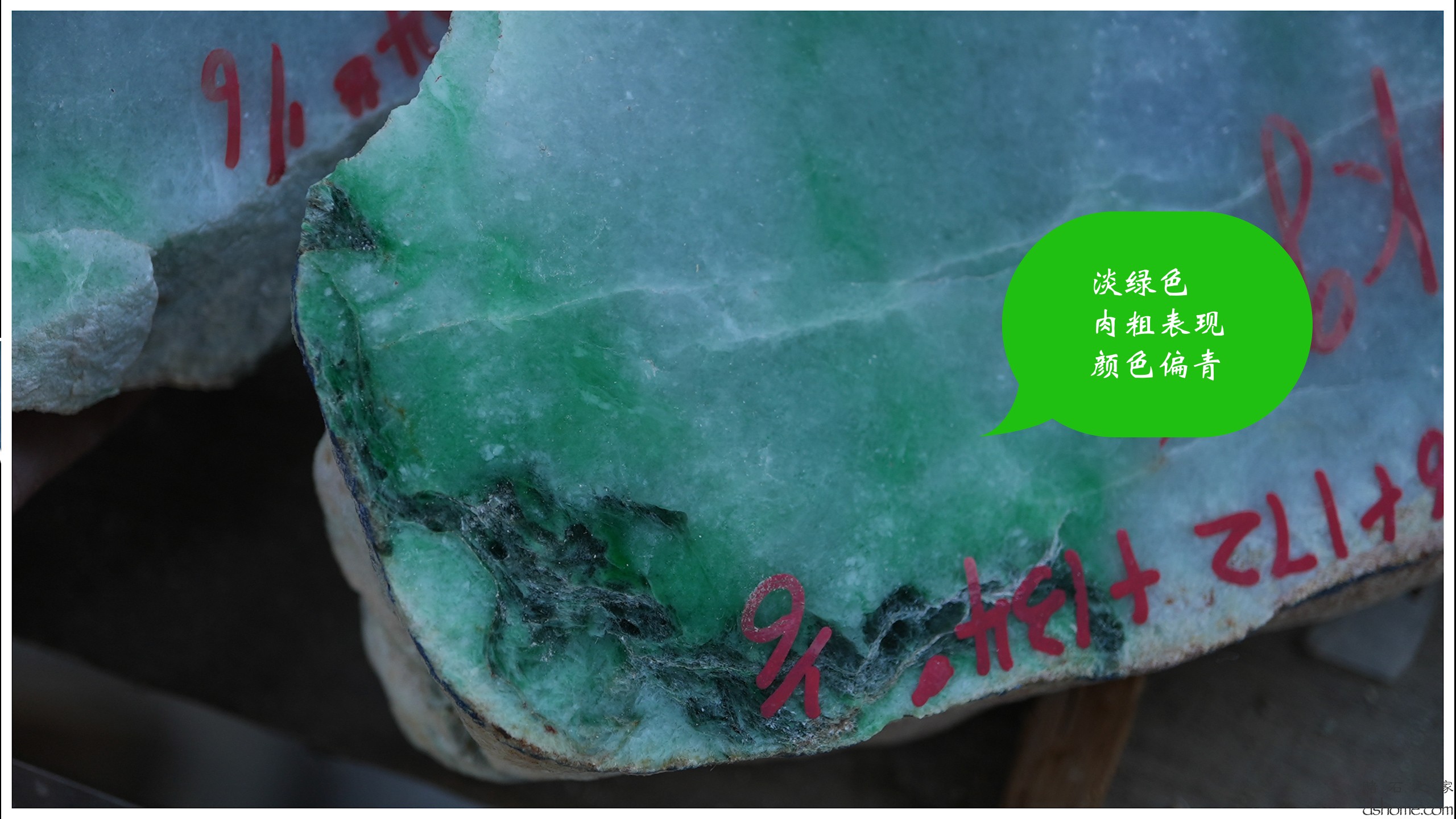 序列 10.00_00_47_11.Still011.jpg