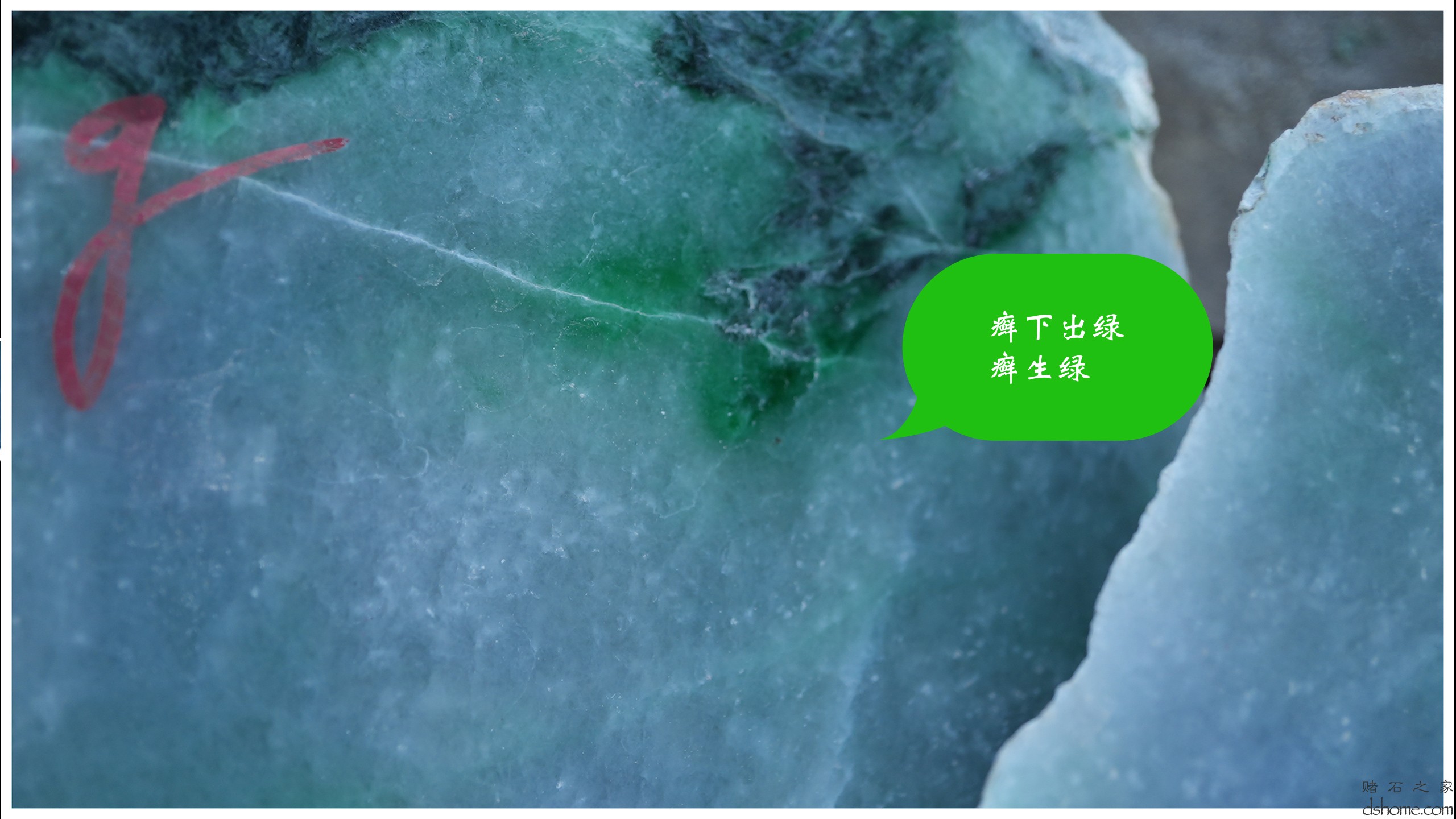 序列 10.00_00_55_04.Still013.jpg